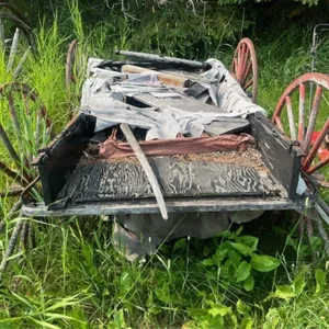 Small Red Democrat Wagon