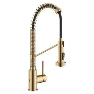 KRAUS Brushed Brass 18 in Touchless Pull Down