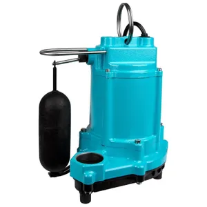 Little Giant 1/3 HP Cast Iron Submersible