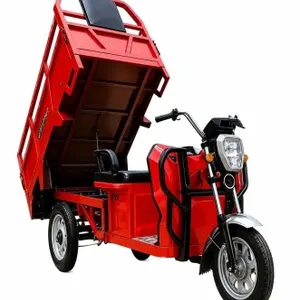 SDLANCH 2026 IRET 13 Electric Cargo Tricycle