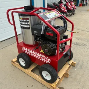 Easy Kleen Magnum 4000 Gold Pressure Washer
