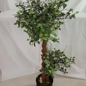 Faux Plant with Twisted Stem