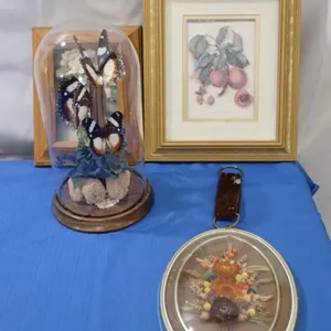 Butterflies under Glass plus