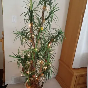 Faux Plant with Bee
