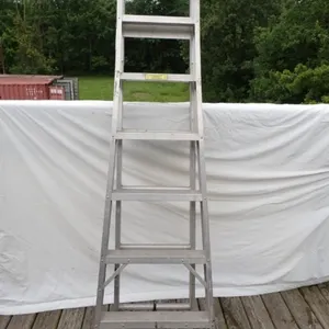 Reynolds Aluminum Extension Ladder