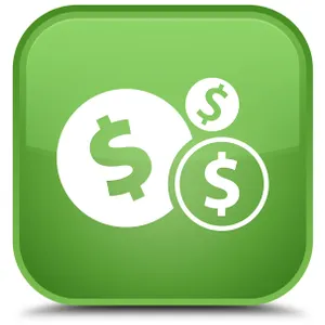 (14%) Buyer’s Premium, Surcharge and Payment Information