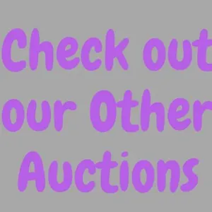 We have several other auctions going on right now!
