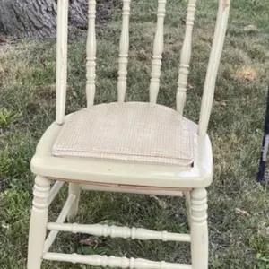 Bentwood Painted Chair