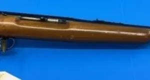 Remington 550-1 .22 SLLR Rifle