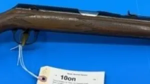 Daisy Heddon VL Rifle .22 Caseless Rifle