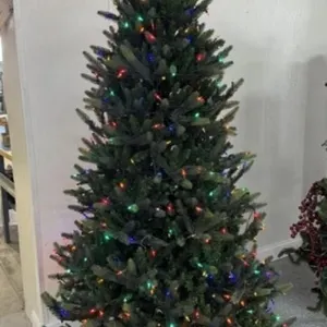 7' Pre Lit Scotch Pine Tree