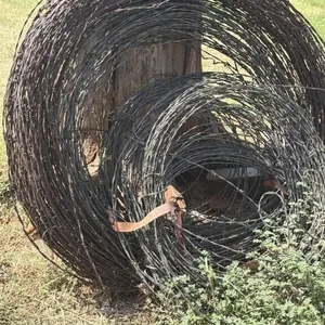 Barbed Wire