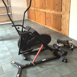Orbitrek Elliptical, Stepper, and Sunny Roman