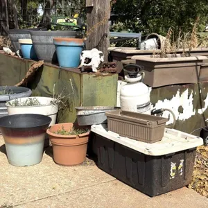 Plastic Planters, Sprayer, Cow Skull, and More