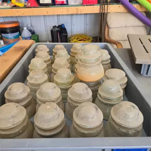 24 old vintage glass insulators