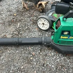 Super blower mulching vac - seized