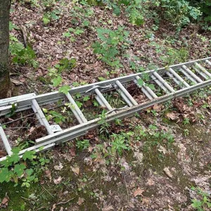 20' Extension Ladder