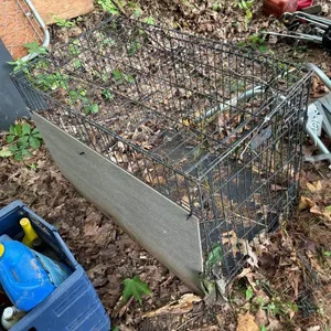 Dog Kennel