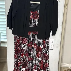 NWT SZ PM Perceptions New York 2 pc set Dress
