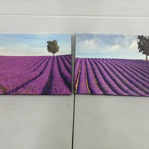 Art Picture 18" X 12"
