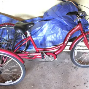 Schwinn Meridian Adult Tricycle with Basket