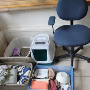 Office Chair, Pet Litter Boxes, and Linens