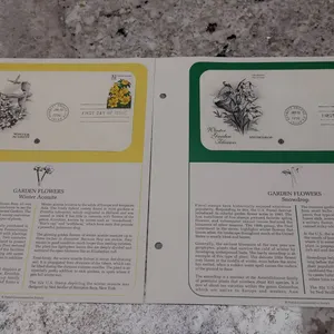 1996 U.S. Postal Winter Garden Flowers First Day Covers: Winter Aconite and Snowdrop by Postal Comme
