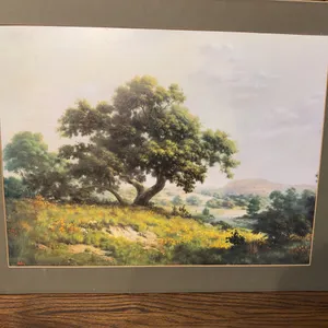 "Big Tree" Art Print
