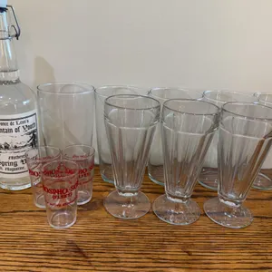 Assorted Glasses & Fountain of Youth Water