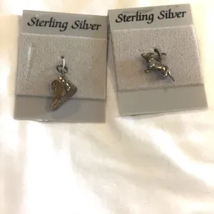 Sterling silver charms – new