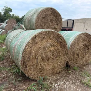17 Grass Round Bales