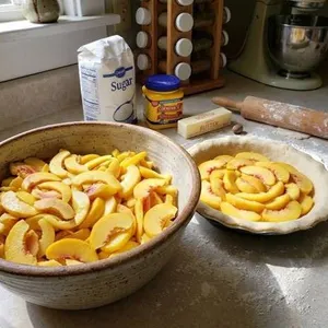 Fennec Sliced Peaches 30lb Case