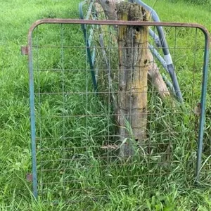 Man gate