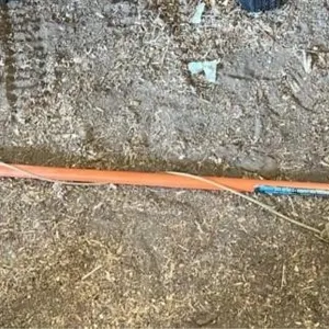 Tree limber with saw