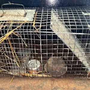 Critter trap - 3ft wide