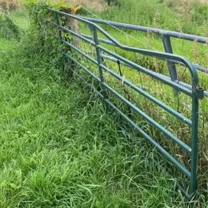 14 ft gate
