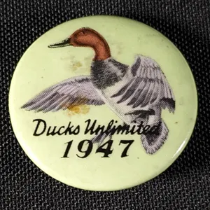 1947 DUCKS UNLIMITED CELLULOID PINBACK BUTTON BADGE PIN BACK