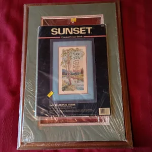 Cross Stitch kit/frame and completed piece