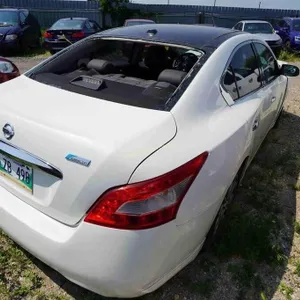 2019 Nissan Maxima SN: 1N4AA5AP8AC803364