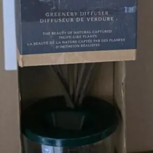 Scent Air Diffuser with 6 Reeds
