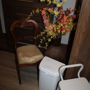 Chair, Floral, Trash Can & Shower Bench
