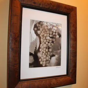 Grape Photograph