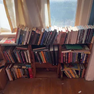 Book Collection Featuring Diverse Genres