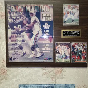 Dan Marino Miami dolphins plaque