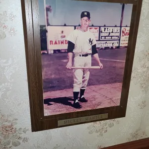 Mackey mantle New York Yankees framed photo