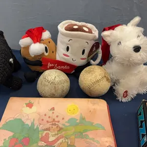 RC car, toys, and stuffies