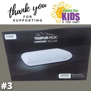Tempur-Pedic Comfort Pillow