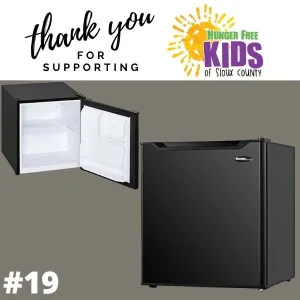 Mini Fridge