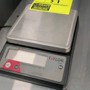 Taylor TE10FT digital portion control scale. Features stainless steel platform, digital display, tare and hold functions, and 11 lb x 0.1 oz (5 kg x 1