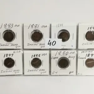 8 U.S. Indian Head Pennies, all from the 1800's